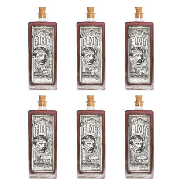 Elixier Sloe Gin | Kiste | 6x 50cl